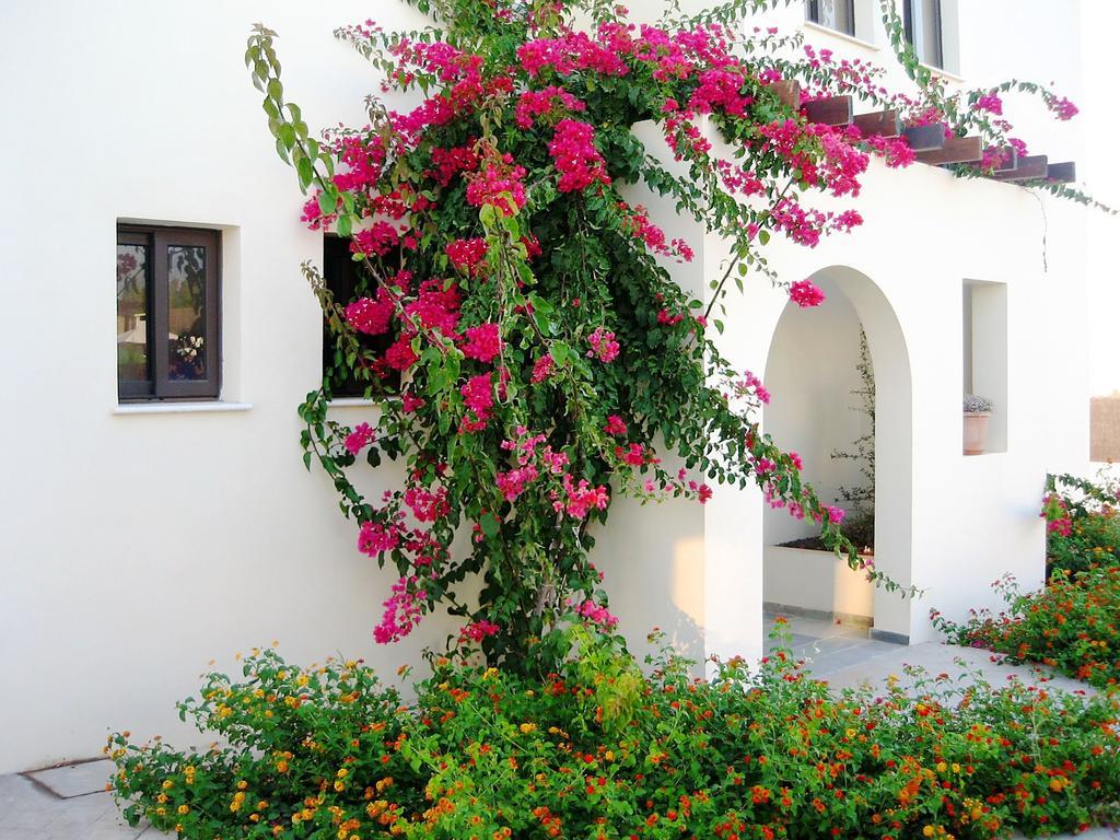 Aura Holiday Villas Paphos Exterior foto